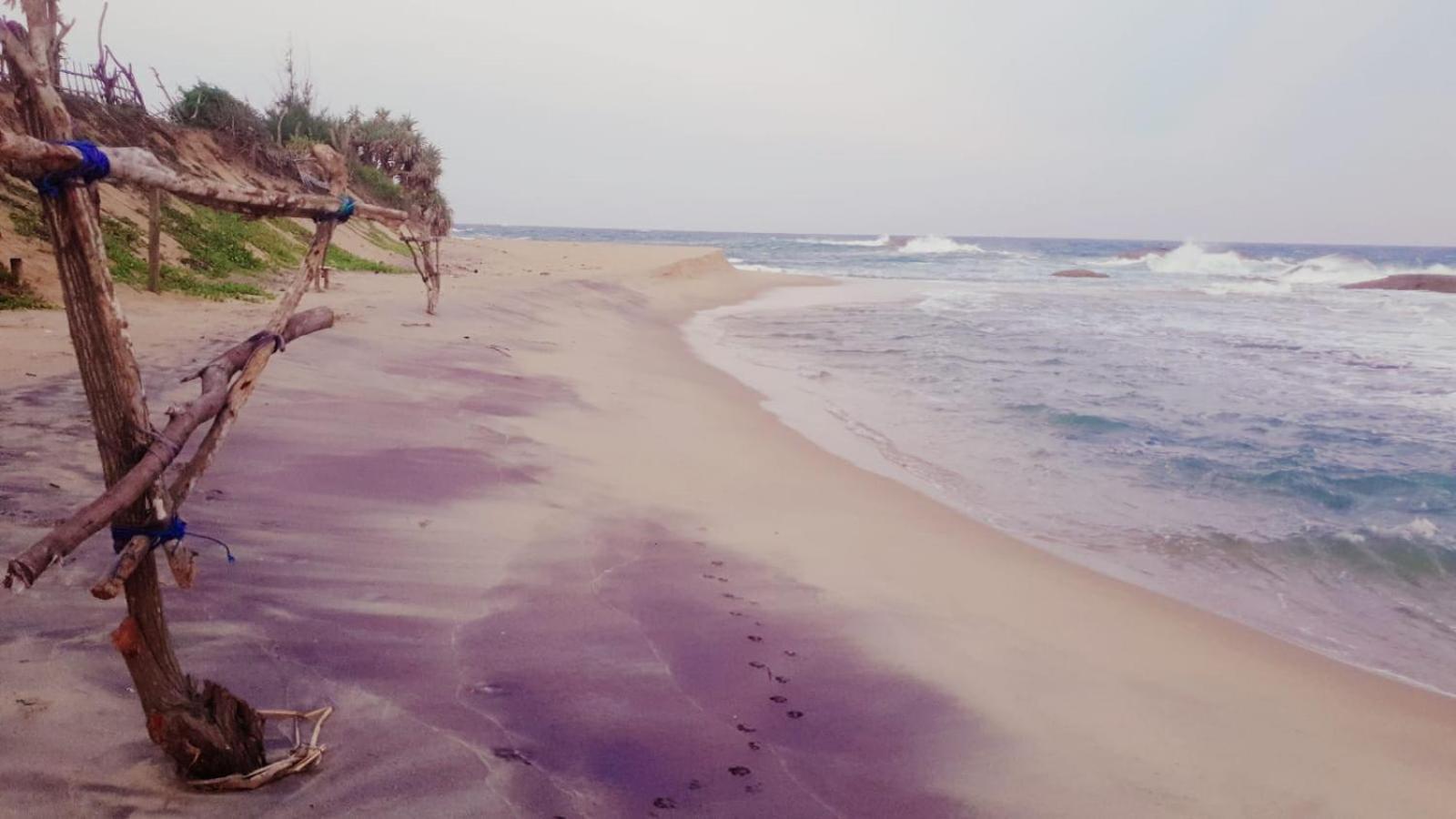 Beach Bungalow Yala Kirinda  Extérieur photo