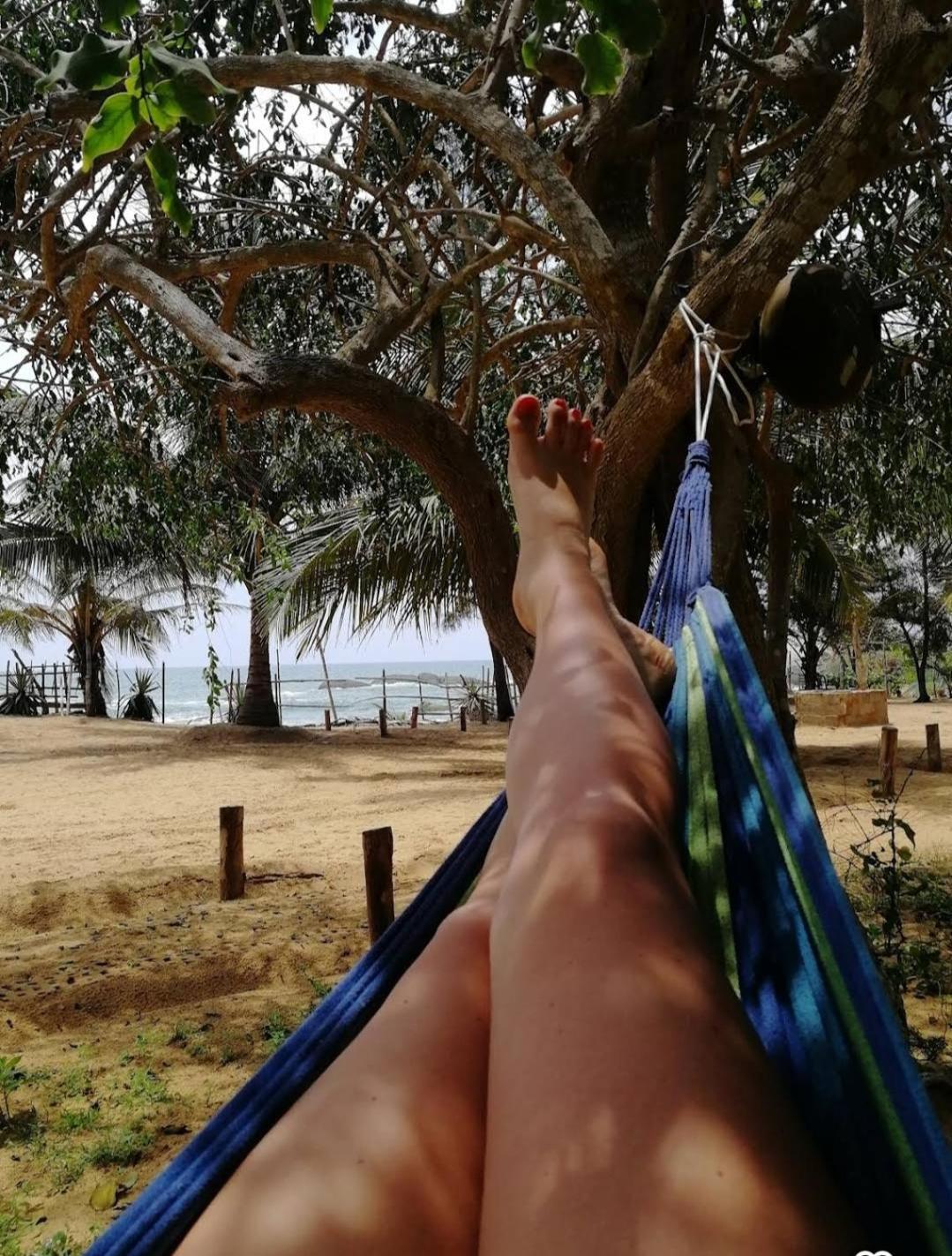 Beach Bungalow Yala Kirinda  Extérieur photo